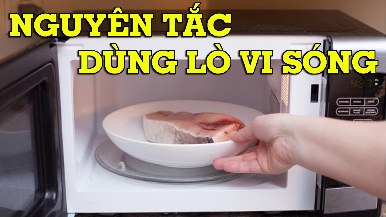 Cách sử dụng Lò vi sóng hiệu quả nhất, cập nhật 2024