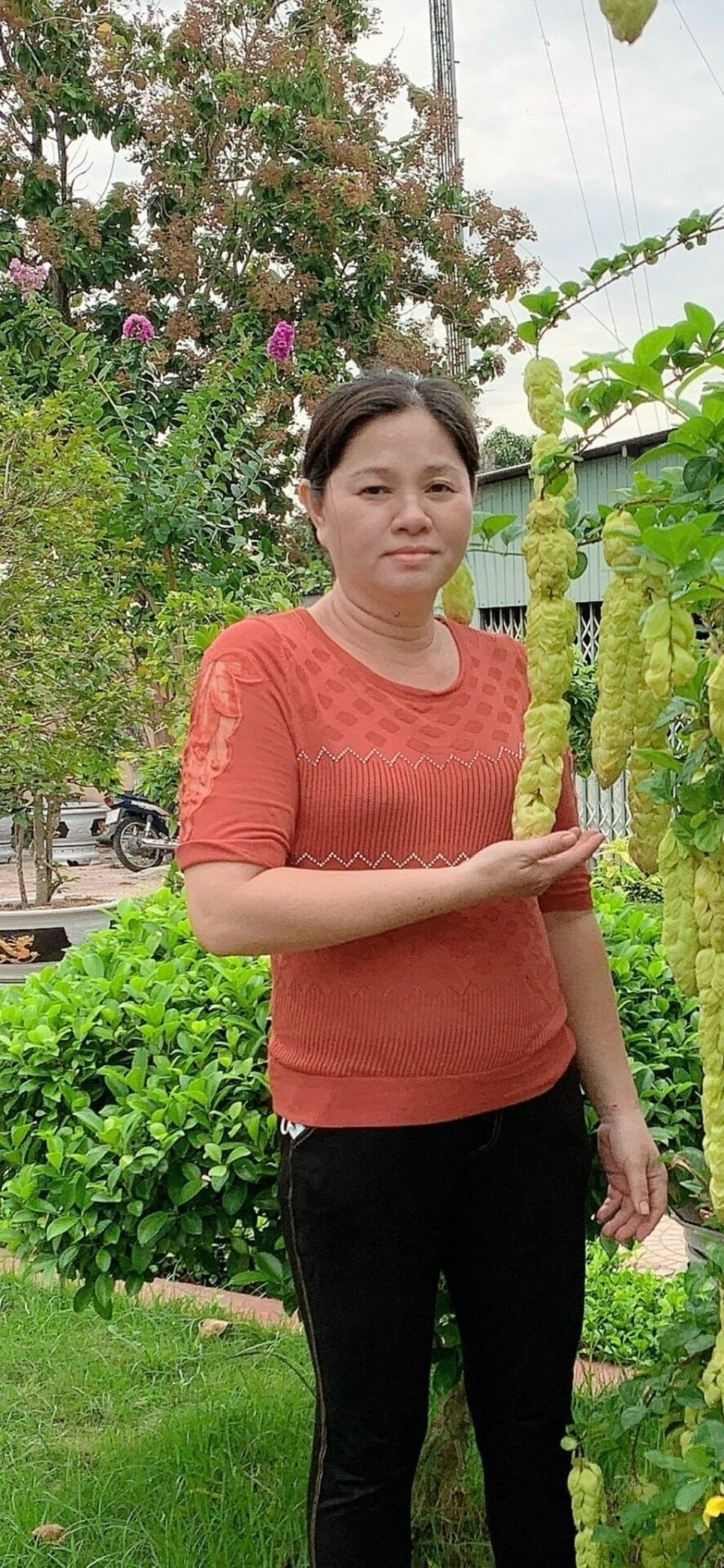 Hình đại diện