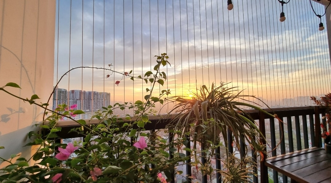 329230917 716032393570294 3700697518227442678 n